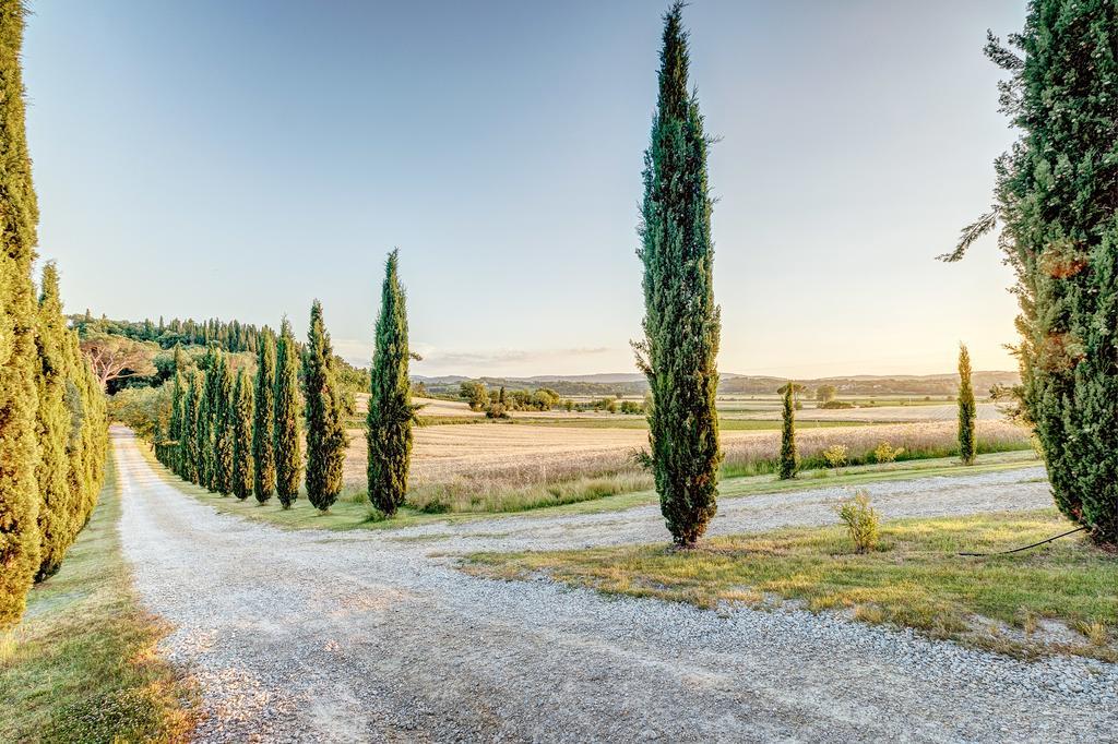 Agriturismo Il Poggiarello Foiano Della Chiana Dış mekan fotoğraf
