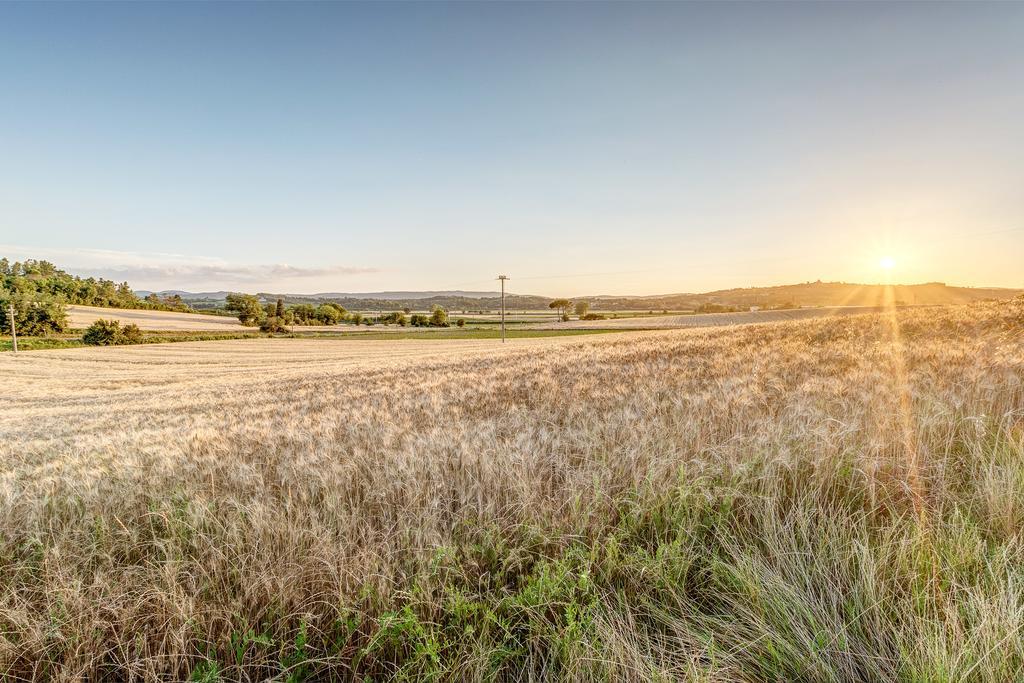 Agriturismo Il Poggiarello Foiano Della Chiana Dış mekan fotoğraf