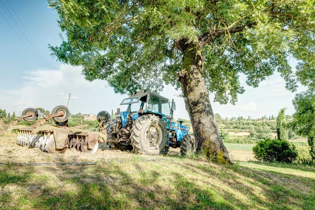 Agriturismo Il Poggiarello Foiano Della Chiana Dış mekan fotoğraf